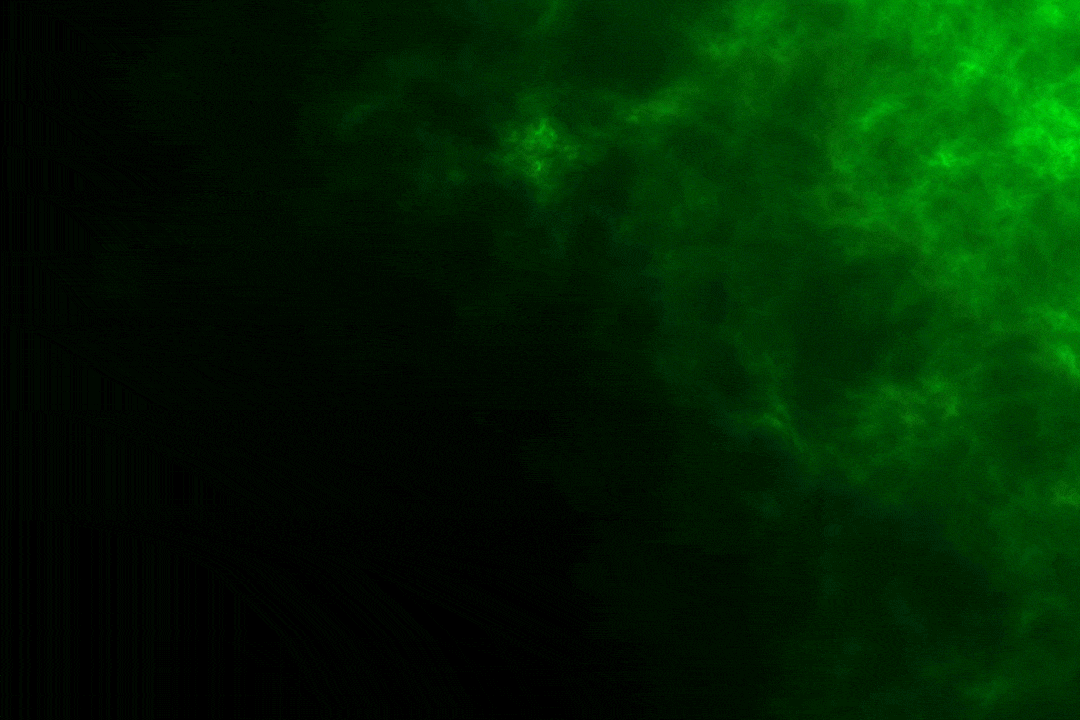 Background animation