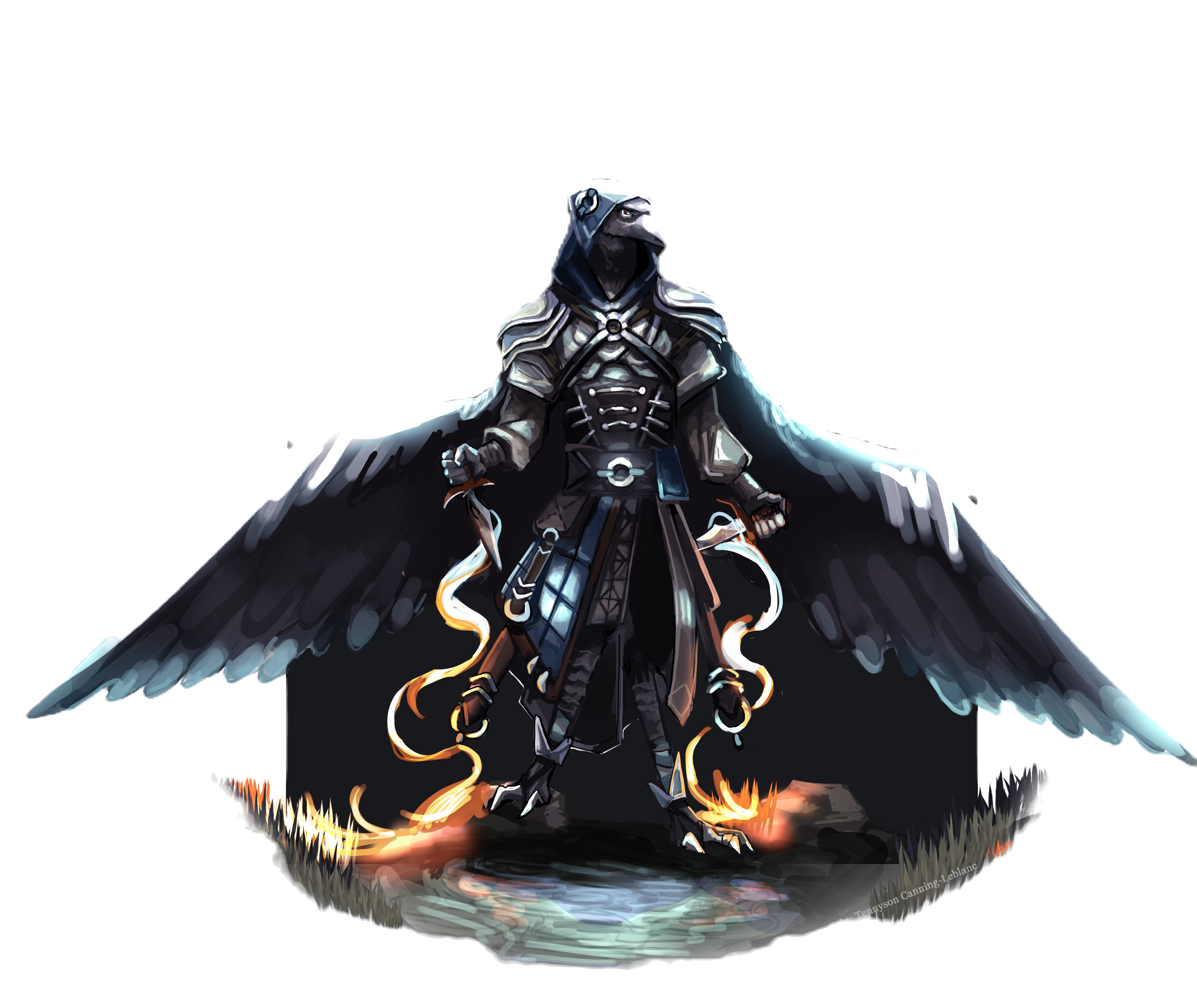 Falcon